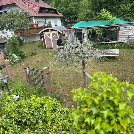 Apartment Kunterbunt 3 Nähe Strasbourg Europapark
