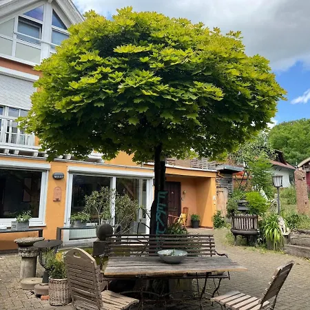 Kunterbunt 3 Naehe Strasbourg Europapark * Hohberg